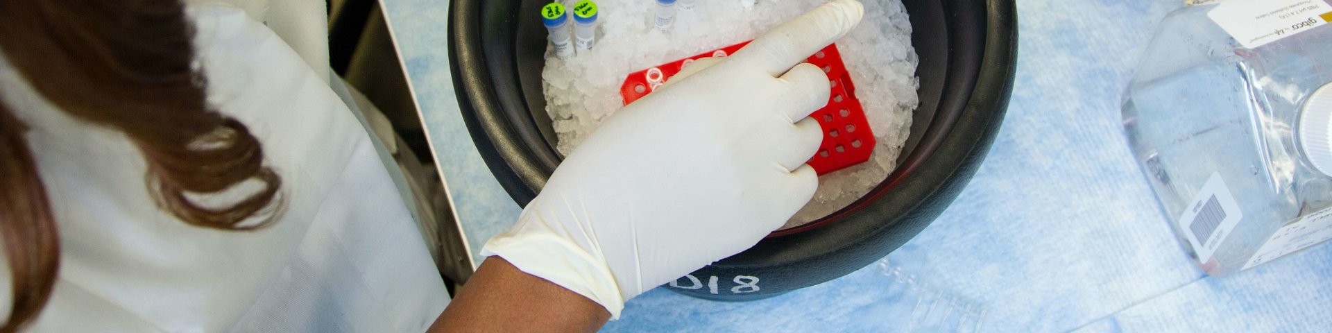 Researcher handling biotechnology equipment