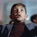 VOX: Cinema Paradiso (1988)