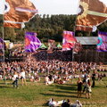 Real-time data collection at Mysteryland