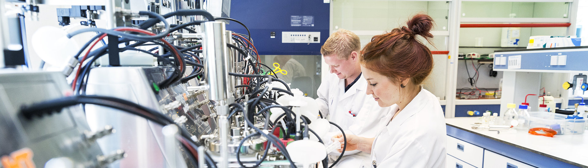 New Researches in Biotechnology - Facultatea de Biotehnologii