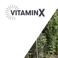 VitaminX: Week 3