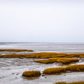 What the Wadden can teach us