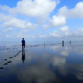 The Wadden Mud Motor project: making nature do the work