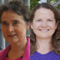 TBM-hoogleraren Frances Brazier en Sabine Roeser ontvangen Koninklijke Onderscheiding
