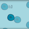 Driving on CO2: VoltaChem scales up sustainable production of formic acid