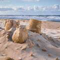 Revealing coastal sediment pathways