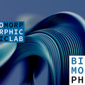 BioMorphic Intelligence Lab