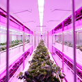 Will we soon live next door to a Vertical Farm?