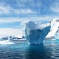 IJsberg ter grootte van Noord-Holland op drift: bedreiging voor natuur