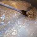 All Pilsner yeast strains originate from a single yeast ancestor