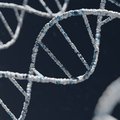 Onderzoekers TU Delft werpen nieuw licht op DNA-replicatie