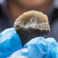 Neanderthal glue from the North Sea