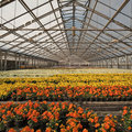 Reducing gas consumption of greenhouses