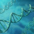 Onderzoekers creëren DNA-replicatie in een synthetische modelcel
