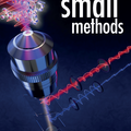 Inside cover in "Small Methods" for Bernd Rieger et al