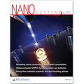 Coverstory for Robert Moerland et al in "Nanoletters"