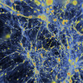 Een ERC voor een 3D-beeld van de structuur van het universum