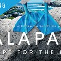 S4S Movie Night: Galapagos, Hope for the Future