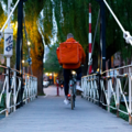 Hoe bevorder je veilige en snelle maaltijdbezorging per fiets in steden?