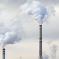 Bouwen aan negatieve CO₂-emissies