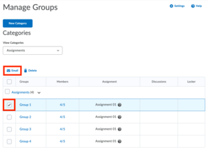 Brightspace group group files