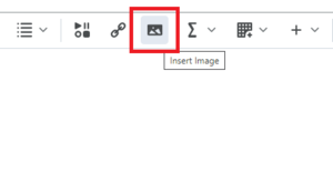 Find the "Insert Image" button