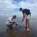 Multi Disciplinary Project: Sea Turtles in Costa Rica