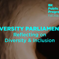 BK Talks: Diversity Parliaments