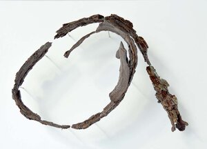 Picture of curled sword from the iron age