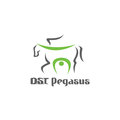 D.S.T. Pegasus