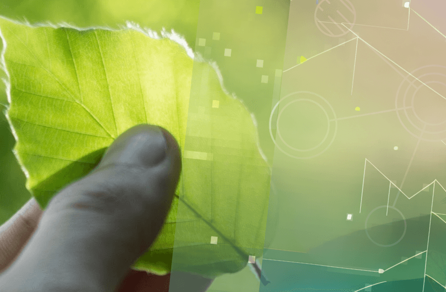 A green leaf between a someone's thumb and index finger, with a graphic overlay of data nodes